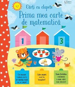 Prima mea carte despre matematica. Usborne