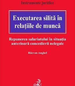 Executarea silita in relatiile de munca. Repunerea salariatului in situatia anterioara concedierii nelegale - Razvan Anghel