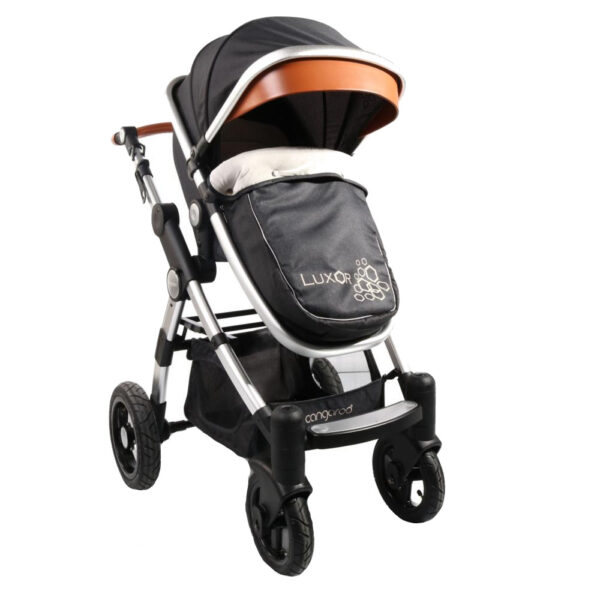 Carucior 2 in 1 Cangaroo Luxor Black