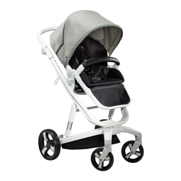 Carucior 3 in 1 Bebumi Space Gray