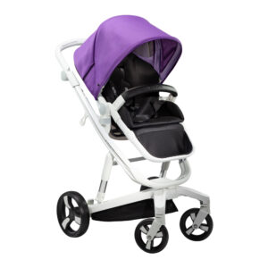 Carucior 3 in 1 Bebumi Space Purple