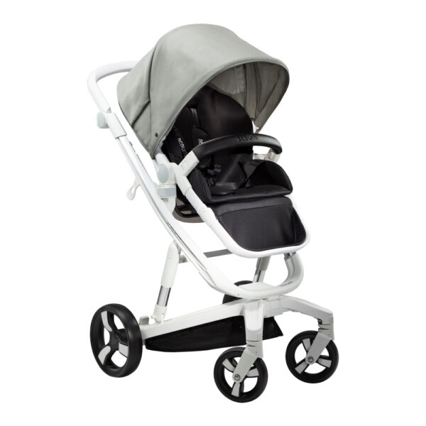 Carucior Bebumi Space Eco Gray