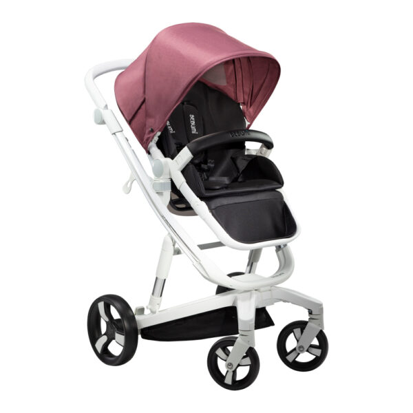 Carucior Bebumi Space Eco Pink