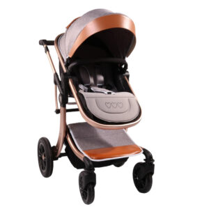 Carucior transformabil 2 in 1 Moni Sofie Grey