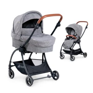 Carucior 2 in 1 Eagle 4S Melange Grey