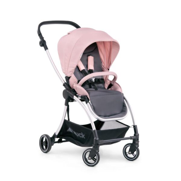 Carucior Eagle 4S Pink Grey