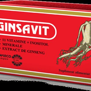 GINSAVIT 24 CAPSULE