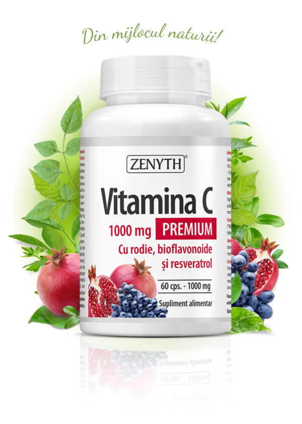 ZENYTH VITAMINA C 1000MG RODIE 60 CAPSULE