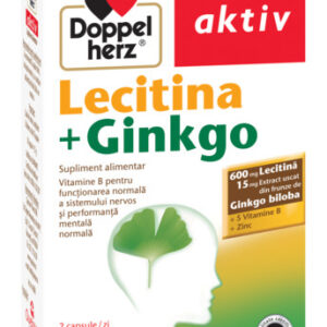 DOPPELHERZ AKTIV LECITINA + GINGKO 30 CAPSULE