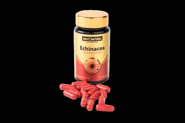 ONLY NATURAL ECHINACEA 60 CAPSULE