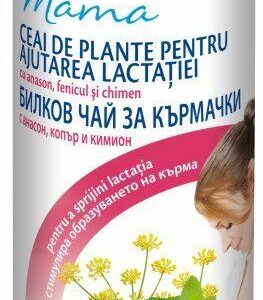 HIPP 2342 CEAI NURSING PENTRU ALAPTAT 200G