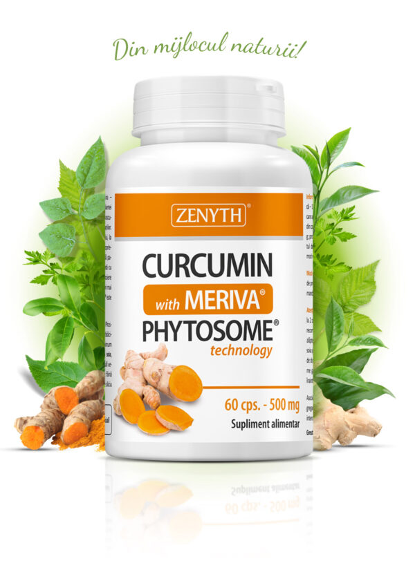 ZENYTH CURCUMIN MERIVA 500MG X 60 CAPSULE