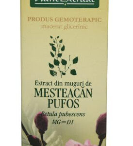 EXTRACT DIN MUGURI DE MESTEACAN PUFOS 50ML