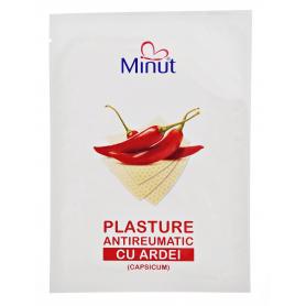 MINUT PLASTURI ANTIREUMATICI CU ARDEI 12/18CM 24BUC