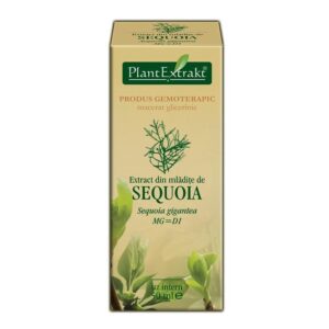 EXTRACT DIN MLADITE DE SEQUOIA 50ML