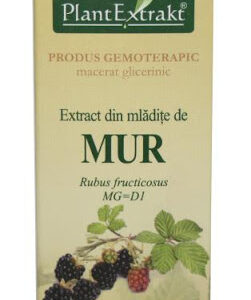 EXTRACT DIN MLADITE DE MUR 50ML